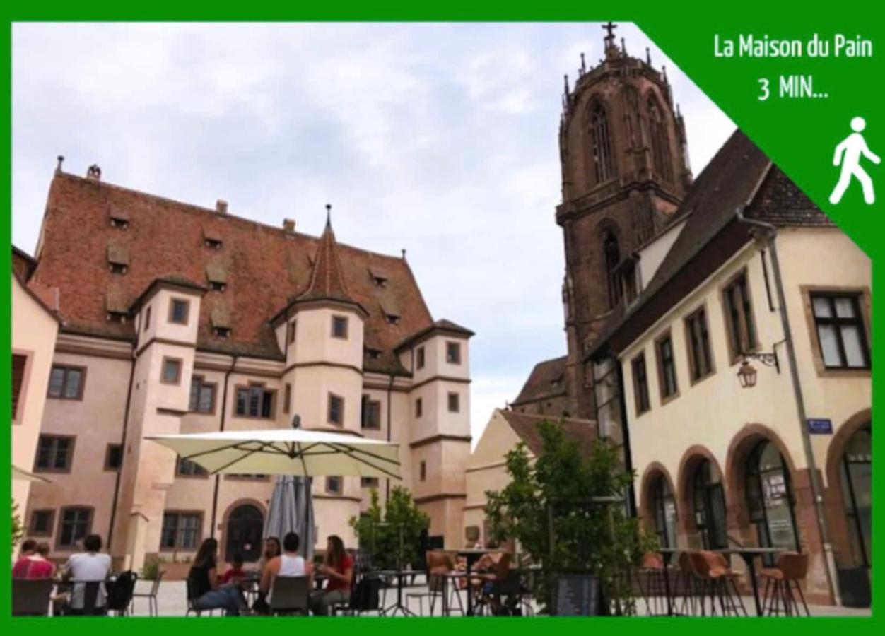 Ferienwohnung La Parenthese Alsacienne Au Coeur De Sélestat Exterior foto
